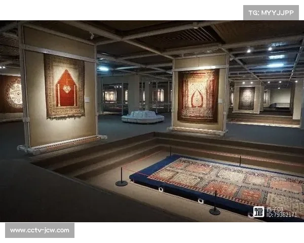 伊朗德黑兰建成世界首座摔跤主题博物馆，展出百年奥运装备